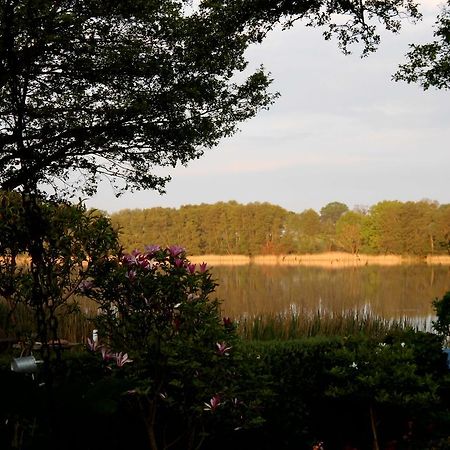 Bungalow Idylle Am See Нойрупин Екстериор снимка