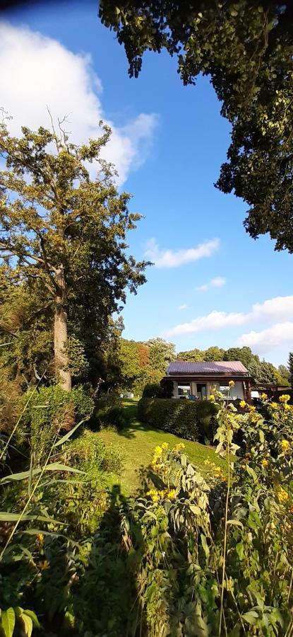 Bungalow Idylle Am See Нойрупин Екстериор снимка