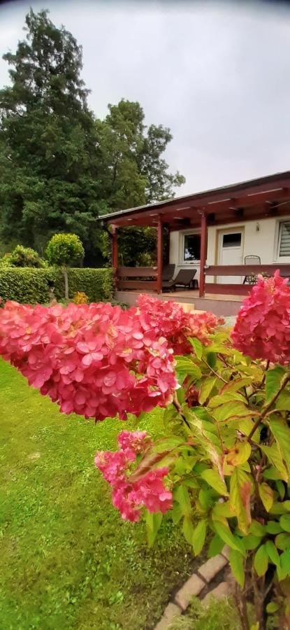 Bungalow Idylle Am See Нойрупин Екстериор снимка