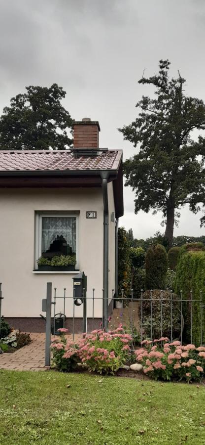 Bungalow Idylle Am See Нойрупин Екстериор снимка