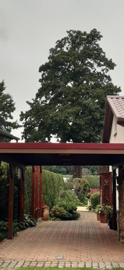 Bungalow Idylle Am See Нойрупин Екстериор снимка