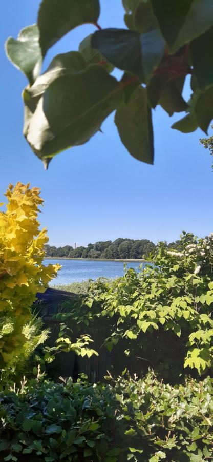 Bungalow Idylle Am See Нойрупин Екстериор снимка