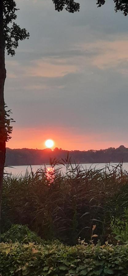 Bungalow Idylle Am See Нойрупин Екстериор снимка