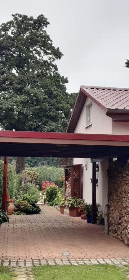 Bungalow Idylle Am See Нойрупин Екстериор снимка