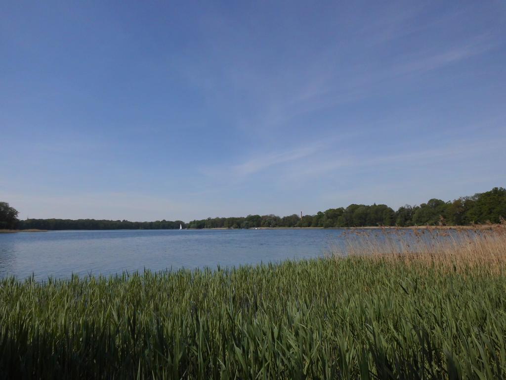 Bungalow Idylle Am See Нойрупин Екстериор снимка