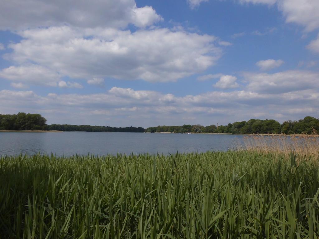 Bungalow Idylle Am See Нойрупин Екстериор снимка